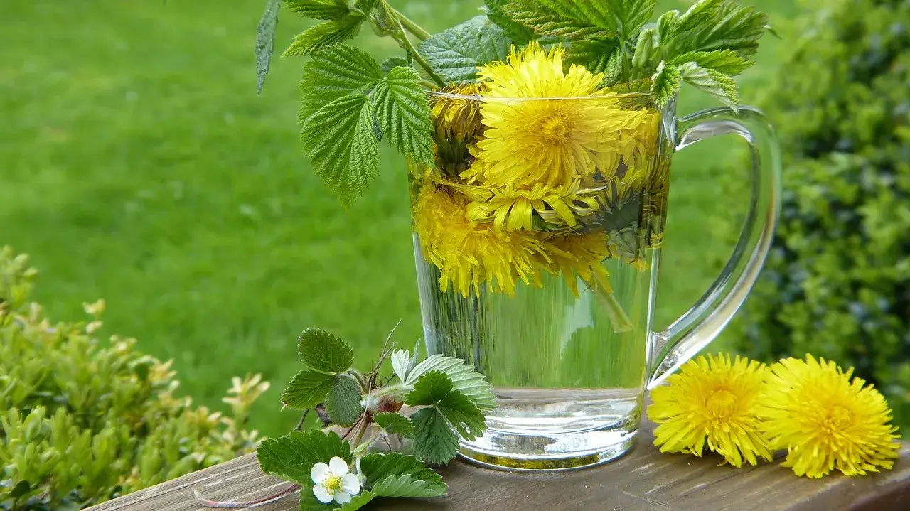 Dandelion Tea Uses: 7 Incredible Benefits You Need to Know