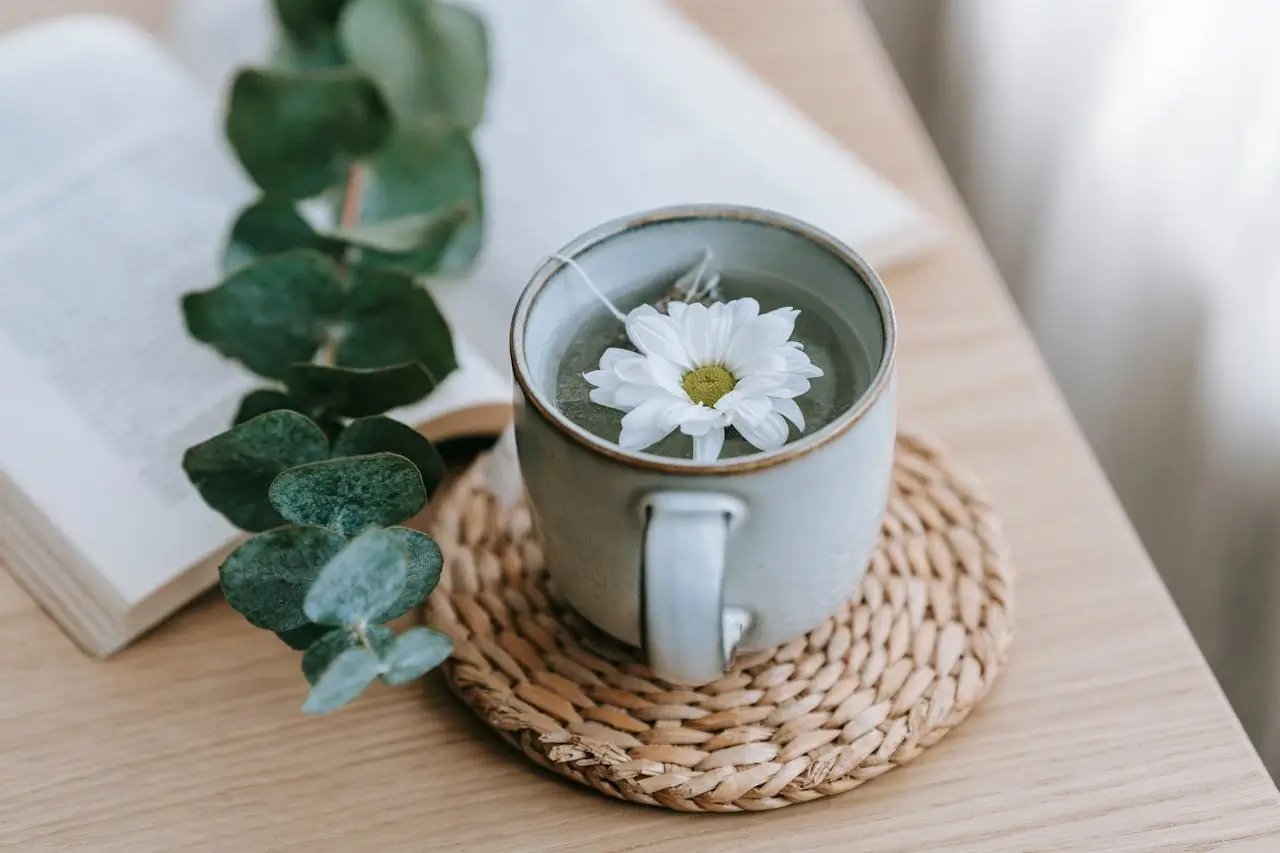 does chrysanthemum tea make you sleepy