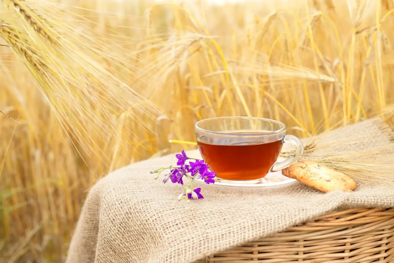 Is Barley Tea Good for You? 7 Amazing Benefits