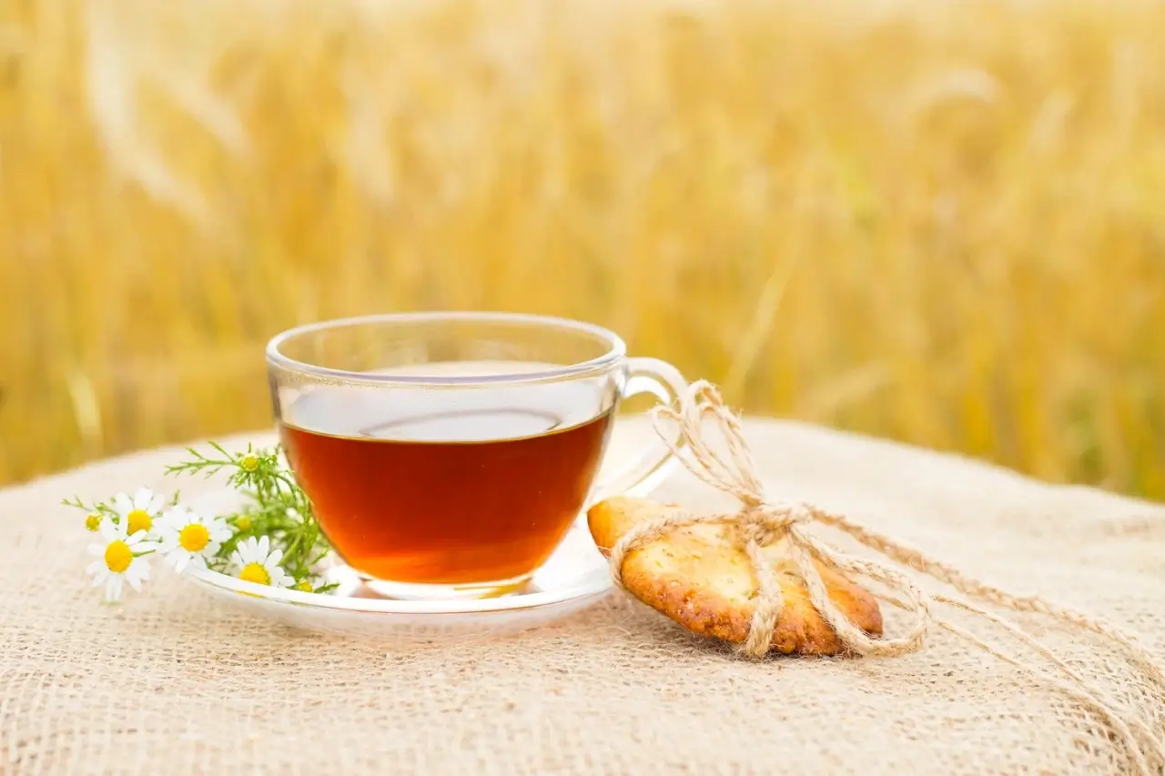 is barley tea healthy