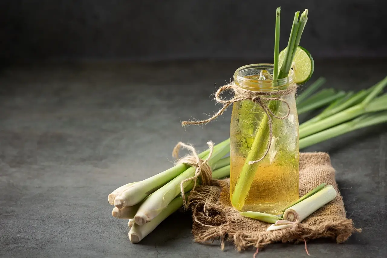 lemongrass tea benefits and side effects