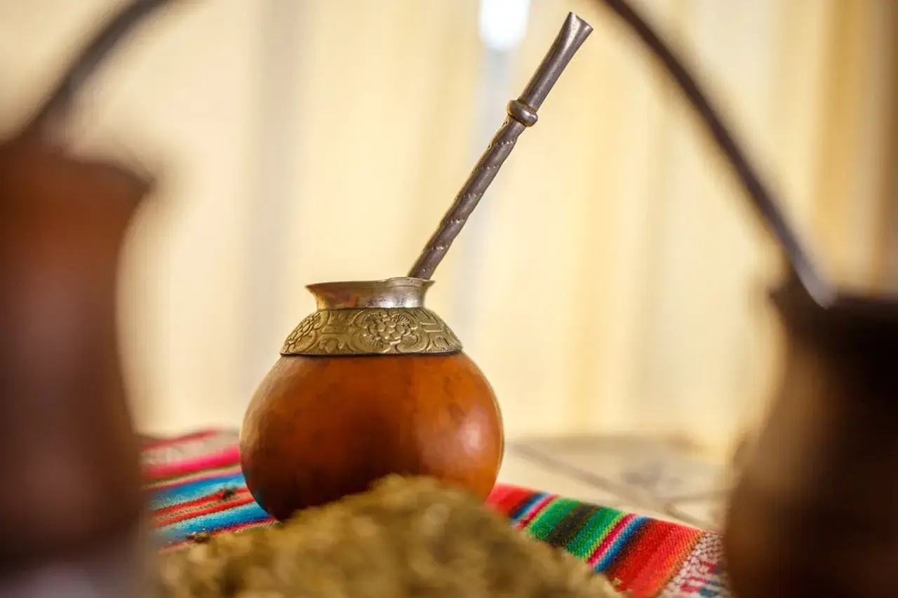 what is yerba mate