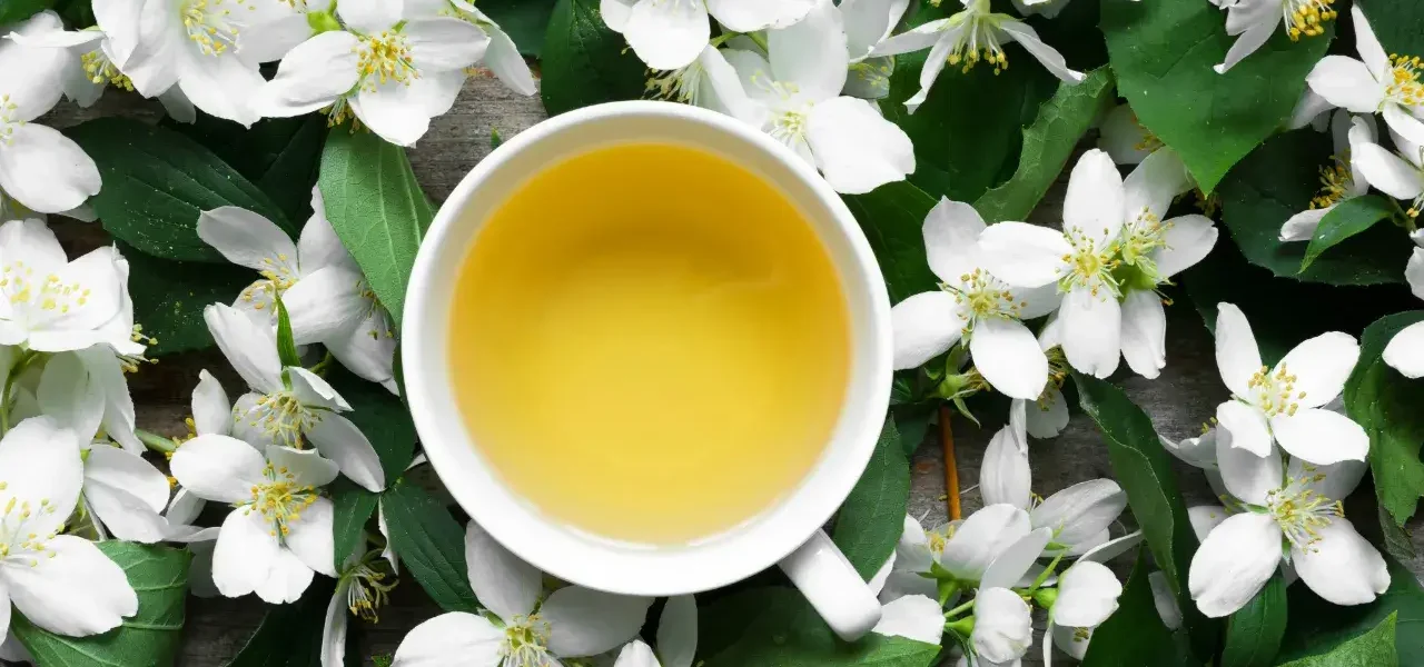 jasmine tea brands